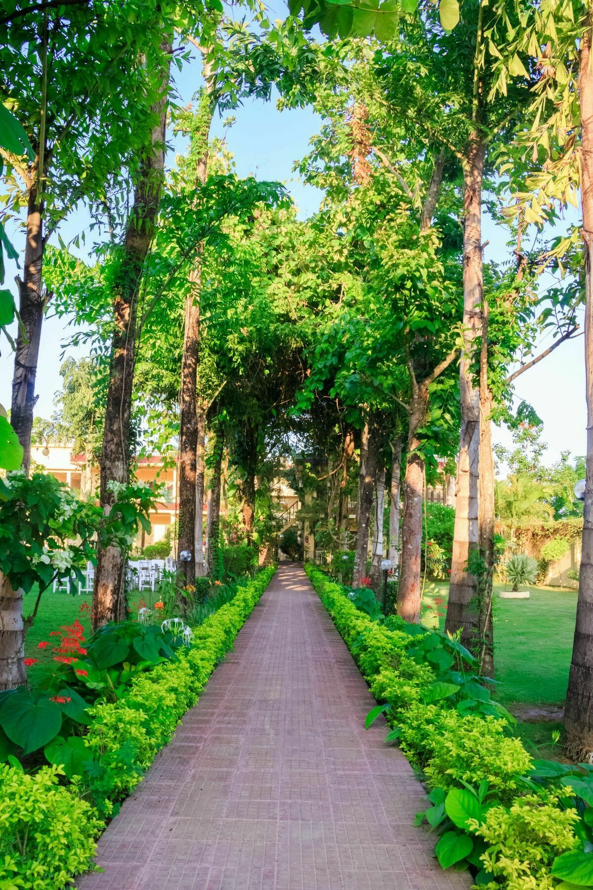 Hotel Rainforest Sauraha Kültér fotó